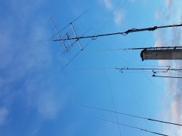 Diverse radiorum , ant fra TM 02